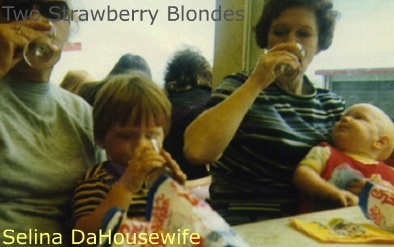 Two Strawberry Blondes cover